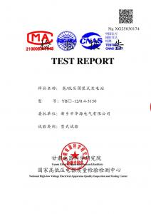 型式试验报告 型式试验报告
